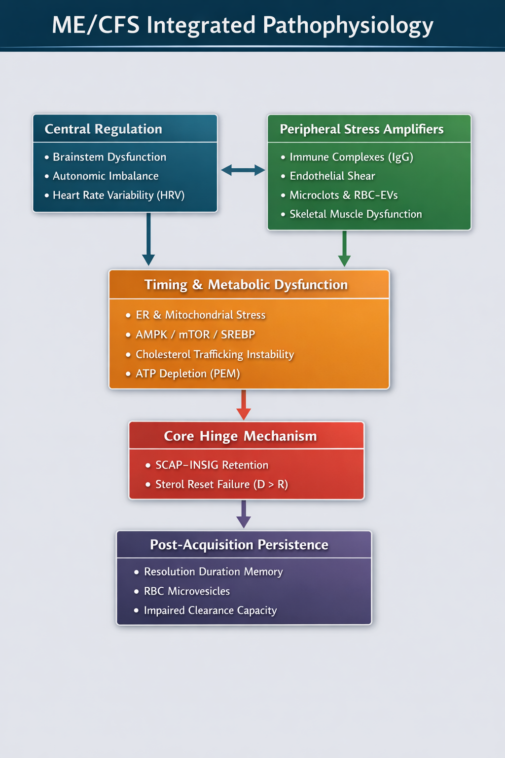 Integrated ME/CFS pathophysiology diagram showing central regulation and peripheral stress amplifiers converging on timing and metabolic dysfunction, leading to SCAP–INSIG retention when D greater than R, followed by post-acquisition persistence.